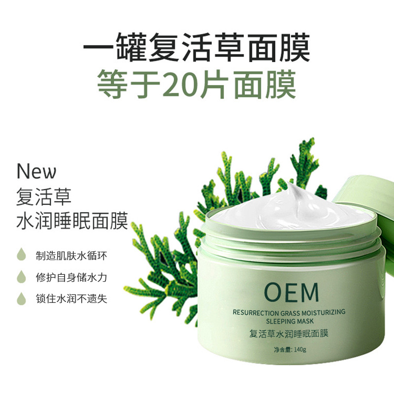 瑾洋_复活草睡眠面膜OEM